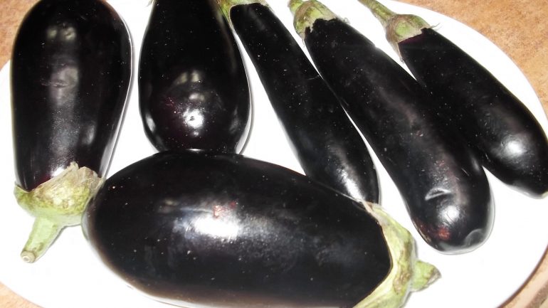 Eggplants sizes and variety