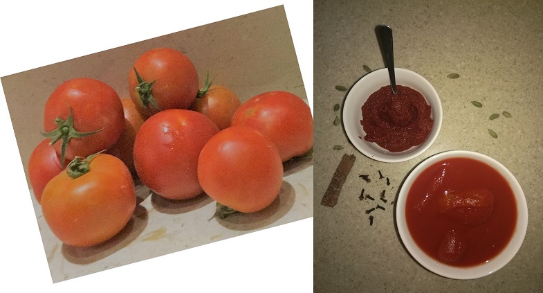 Tomato Paste Substitute